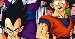 Goku Memory